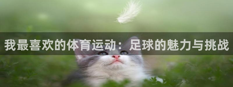 一竞技官网下载平台是正规平台吗知乎:我最喜欢的体育运动:足球