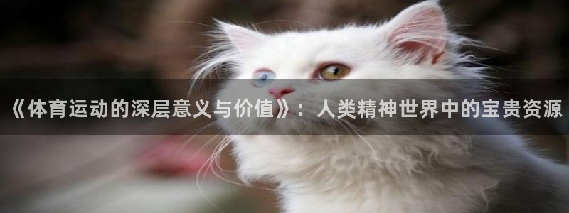 一竞技官网下载招商电话地址查询:《体育运动的深层意义与价值》