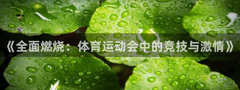 一竞技官网下载招商电话地址是多少:《全面燃烧:体育运动会中的