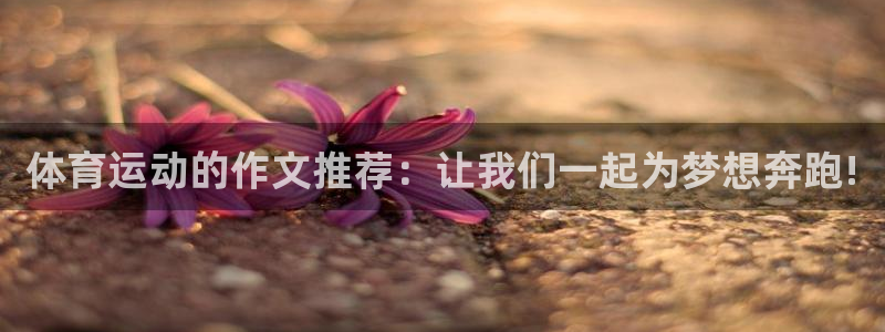 一竞技官网下载是干嘛的公司:体育运动的作文推荐:让我们一起为